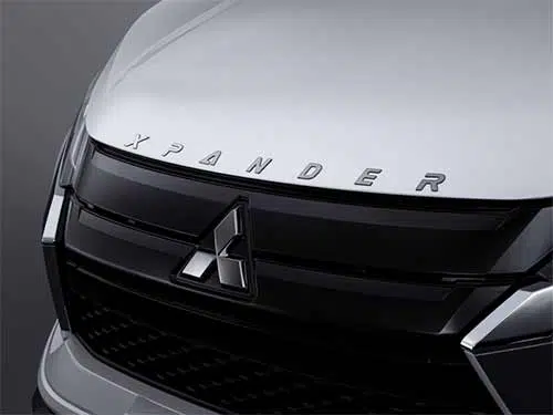 Hood Emblem